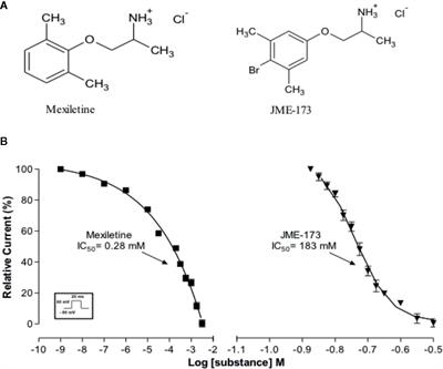 Anti-<mark class="highlighted">Bronchospasm</mark>odic Effect of JME-173, a Novel Mexiletine Analog Endowed With Highly Attenuated Anesthetic Activity